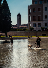 Enlarge photo 31