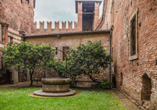Enlarge photo 37