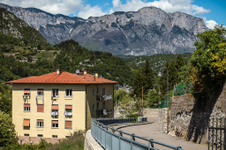 Enlarge photo 60