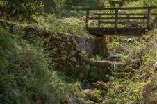 Enlarge photo 64