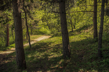 Enlarge photo 65