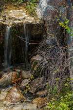 Enlarge photo 66