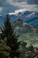 Enlarge photo 67
