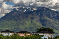 Enlarge photo 61