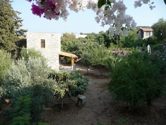 Enlarge photo 21