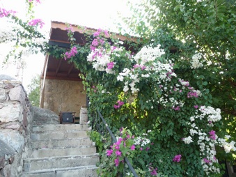 Enlarge photo 23