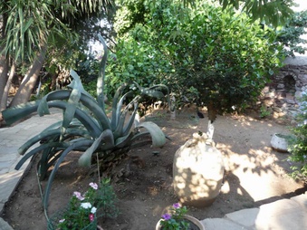 Enlarge photo 25