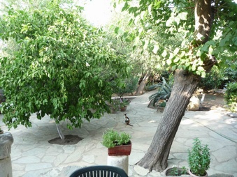 Enlarge photo 32