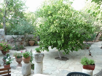 Enlarge photo 33