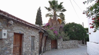 Enlarge photo 52