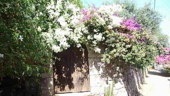 Enlarge photo 57