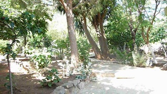 Enlarge photo 58
