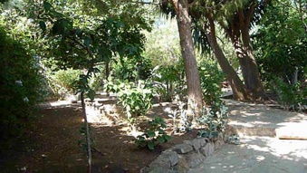Enlarge photo 59