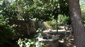 Enlarge photo 60