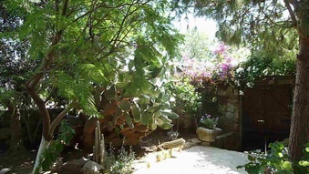 Enlarge photo 61