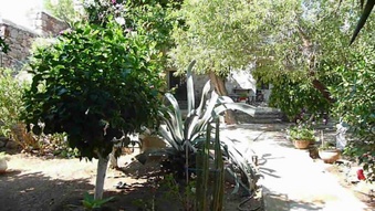 Enlarge photo 62