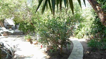 Enlarge photo 63