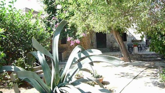 Enlarge photo 64