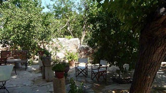 Enlarge photo 69