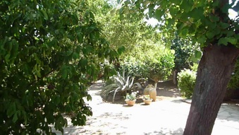 Enlarge photo 72