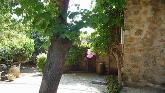 Enlarge photo 73