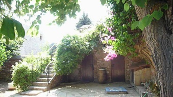 Enlarge photo 74
