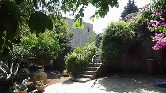 Enlarge photo 75