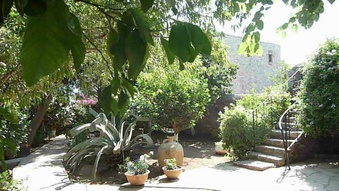 Enlarge photo 76