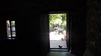 Enlarge photo 86