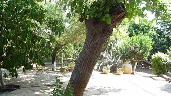 Enlarge photo 102