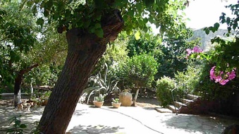 Enlarge photo 103