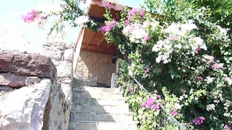 Enlarge photo 105