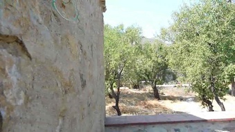 Enlarge photo 133