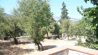 Enlarge photo 134