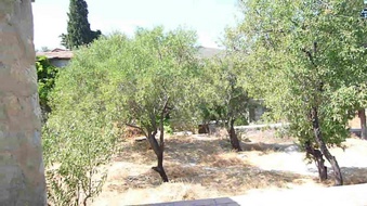 Enlarge photo 135