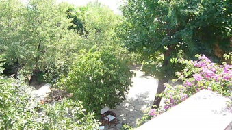 Enlarge photo 136