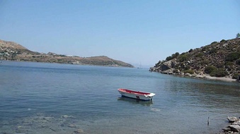 Enlarge photo 137