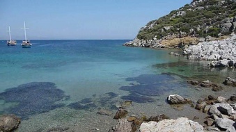 Enlarge photo 141