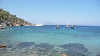 Enlarge photo 142