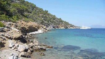Enlarge photo 143