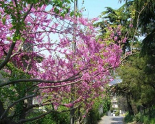 Enlarge photo 25