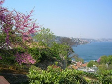 Enlarge photo 30