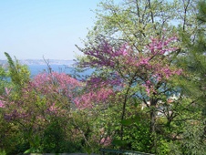 Enlarge photo 31