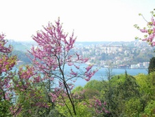 Enlarge photo 32