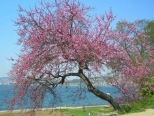 Enlarge photo 34