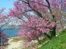 Enlarge photo 39