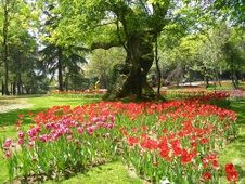 Enlarge photo 1