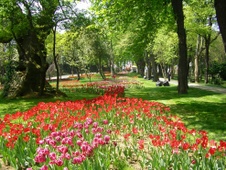 Enlarge photo 2