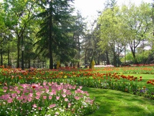 Enlarge photo 3