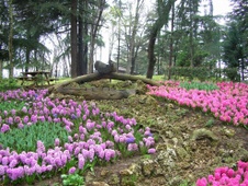 Enlarge photo 6